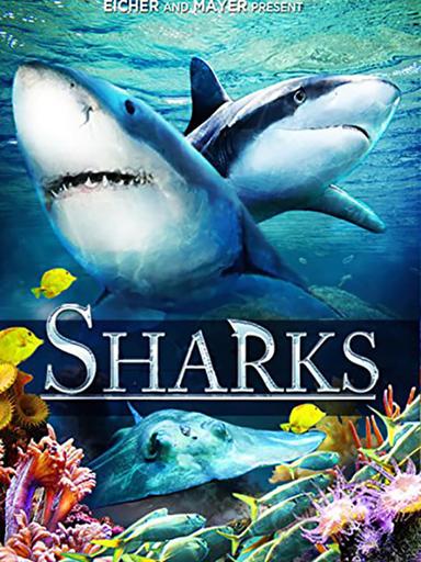 Sharks (in 3D) poster