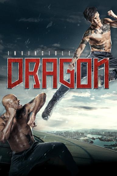 The Invincible Dragon poster