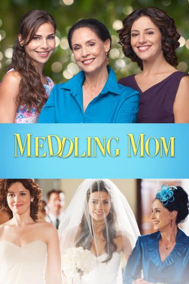 Meddling Mom poster