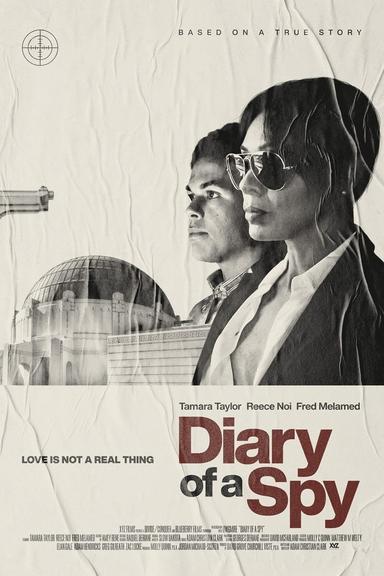 Diary of a Spy poster