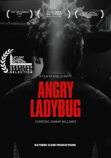 Angry Ladybug poster