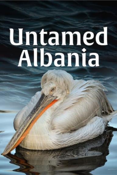 Untamed Albania poster