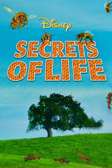 Secrets of Life poster