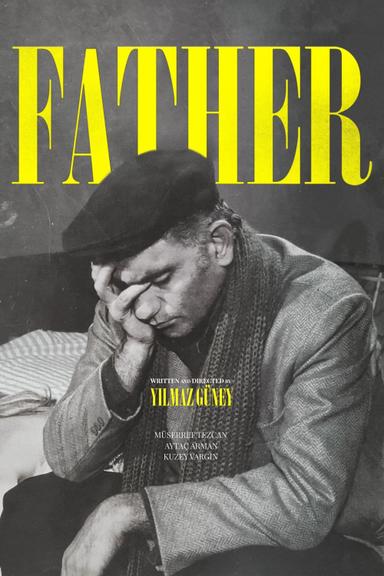 The Father poster