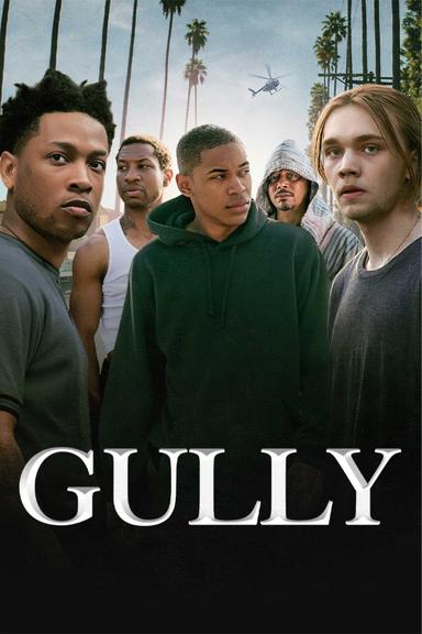 Gully poster