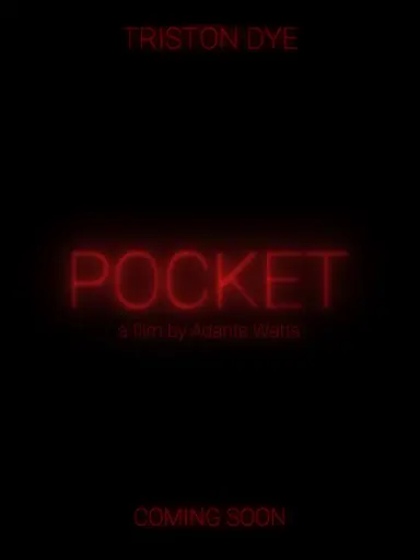POCKET poster