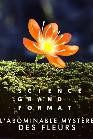 Flower Power: The Mysterious Conqueror poster