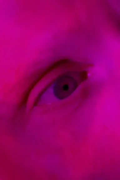 Endliche Erinnerungen poster