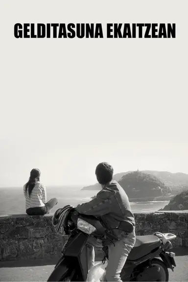 Stillness in the Storm poster