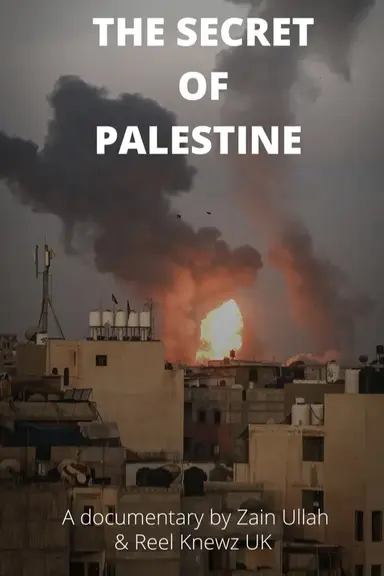 The Secret of Palestine poster