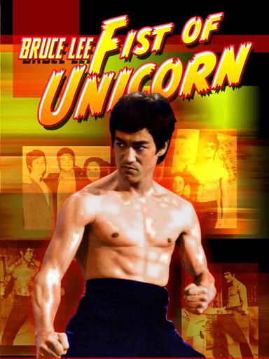 Fist of Unicorn poster