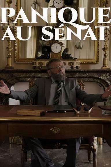 Panique au Sénat poster