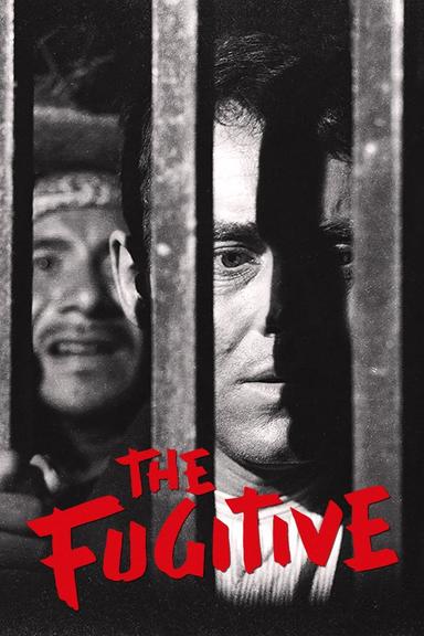 The Fugitive poster