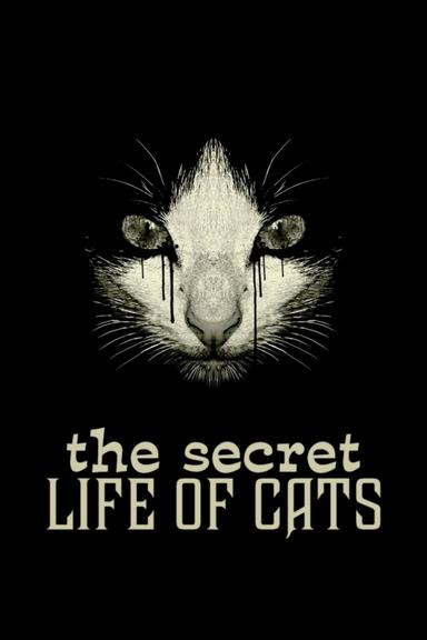 The Secret Life of Cats poster