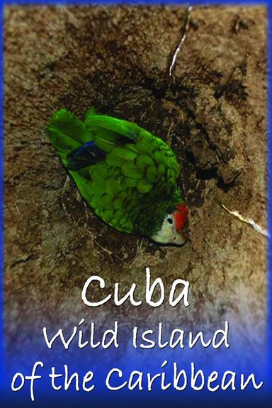 Cuba: Wild Island of the Caribbean poster