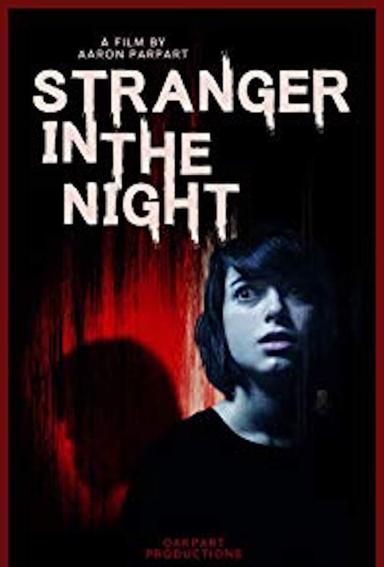 Stranger in the Night poster