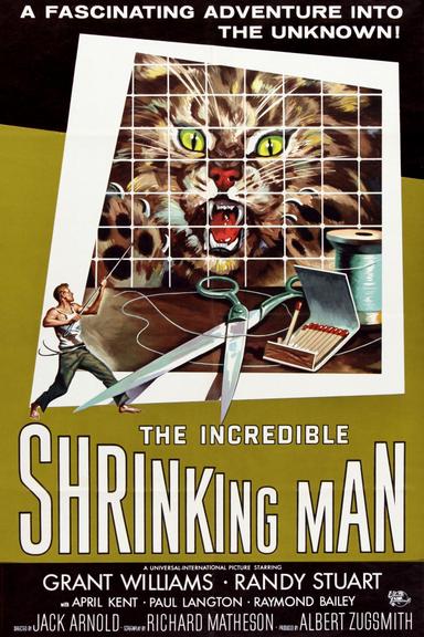 The Incredible Shrinking Man poster