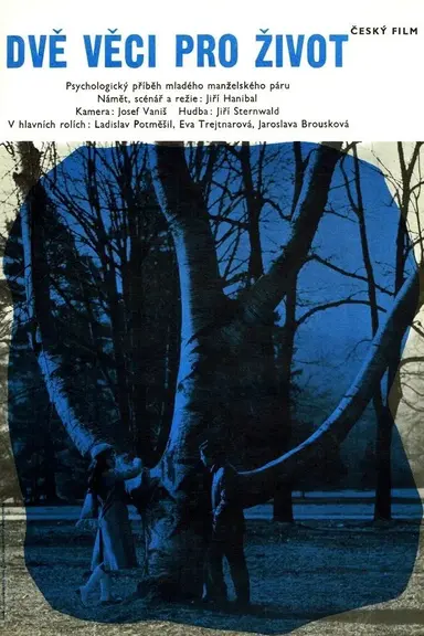 Dvě věci pro život poster