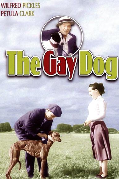 The Gay Dog poster