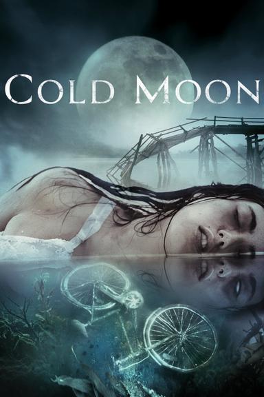 Cold Moon poster