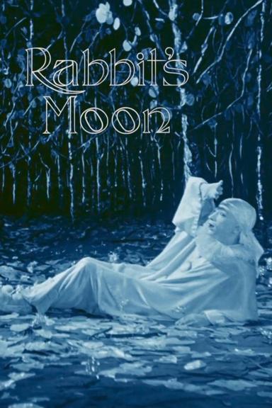 Rabbit's Moon poster