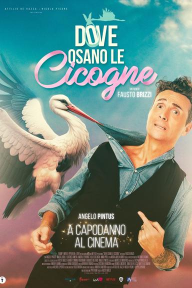 Dove osano le cicogne poster