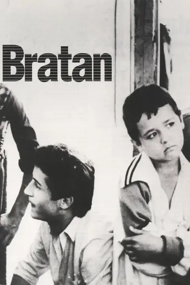 The Little Brother poster