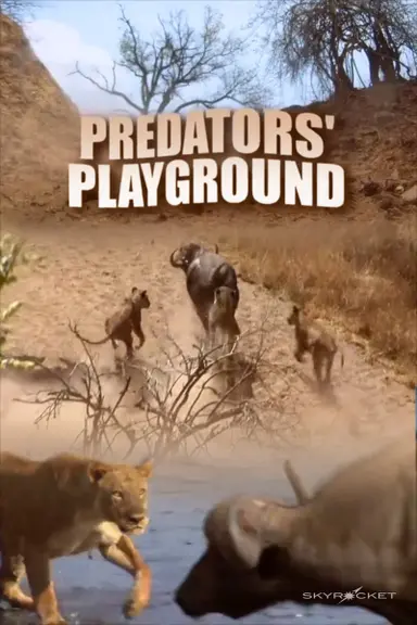 Predator's Playground poster