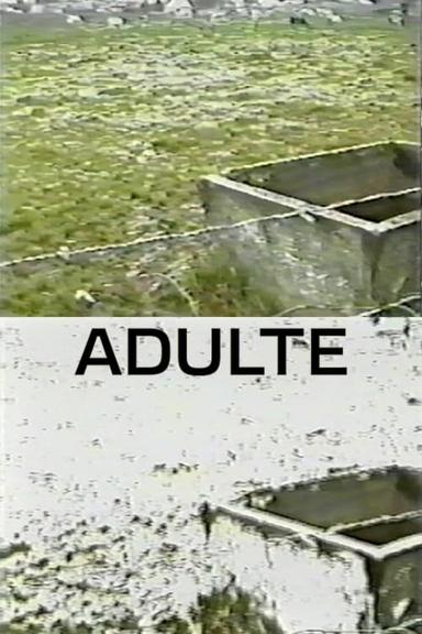 Adulte poster