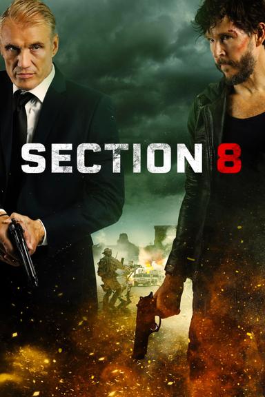 Section 8 poster