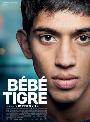 Young Tiger poster