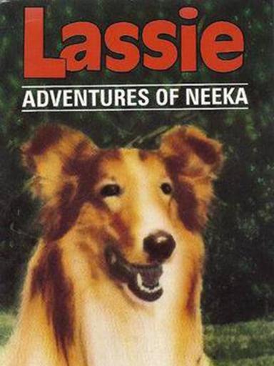 Lassie: The Adventures of Neeka poster