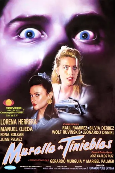 Wall of Darkness poster