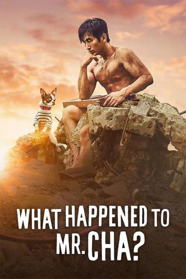 What Happened to Mr. Cha? poster