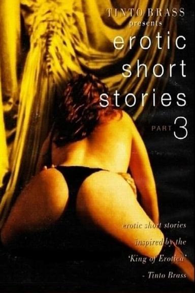 Tinto Brass Presents Erotic Short Stories: Part 3 poster