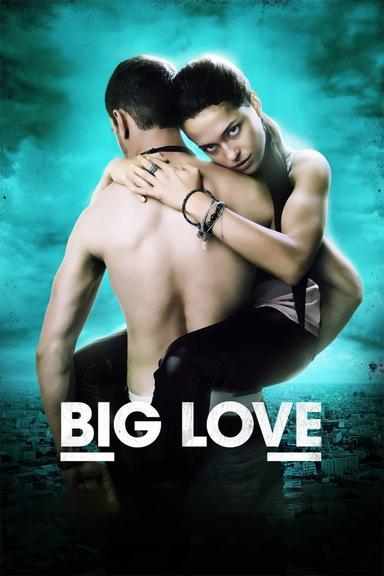 Big Love poster