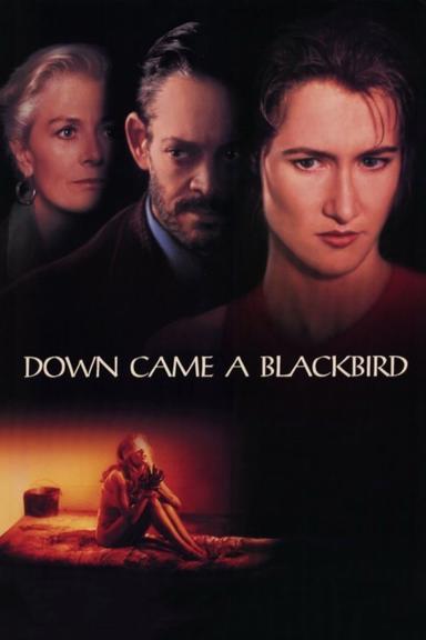 Down Came a Blackbird poster