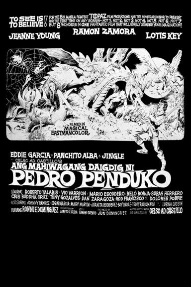 Ang Mahiwagang Daigdig ni Pedro Penduko poster