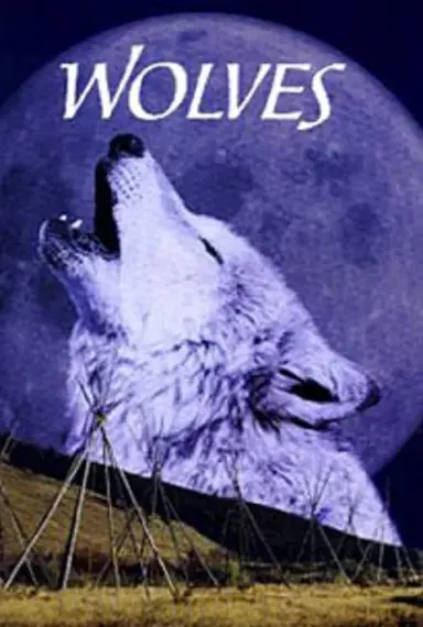 Wölfe poster