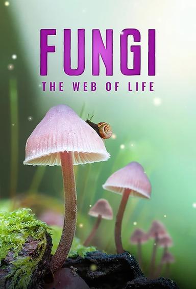 Fungi: The Web of Life poster