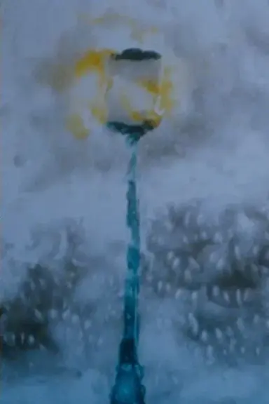 SONODA Video - Spring / Summer / Fall / Winter poster
