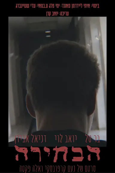 The Choice poster