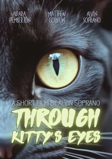 Through Kitty’s Eyes poster