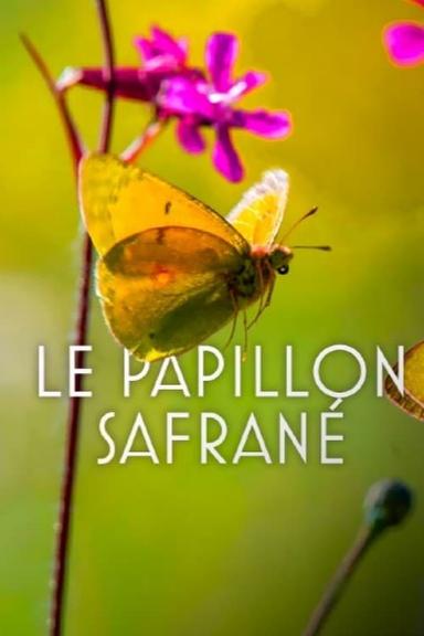 The Story of the Saffron Butterfly poster