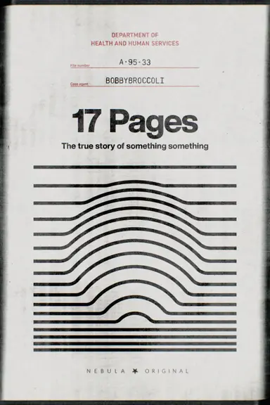 17 Pages poster