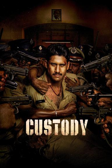 Custody poster