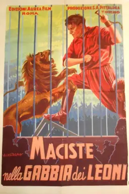 Movie Poster