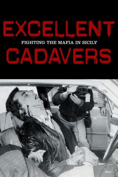 Excellent Cadavers poster