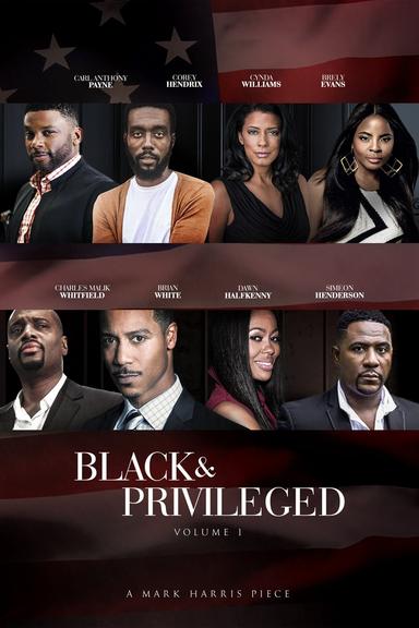 Black & Privileged: Volume 1 poster