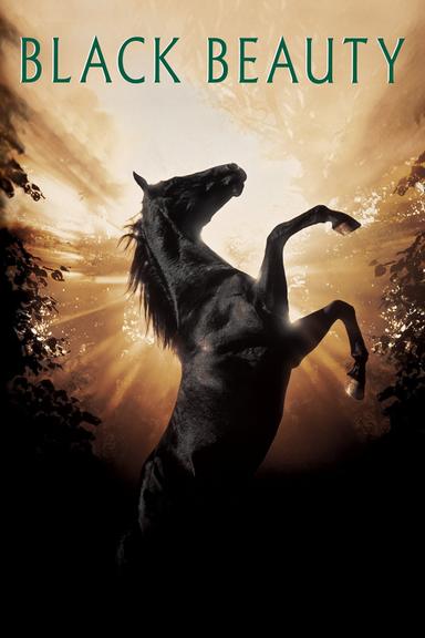 Black Beauty poster